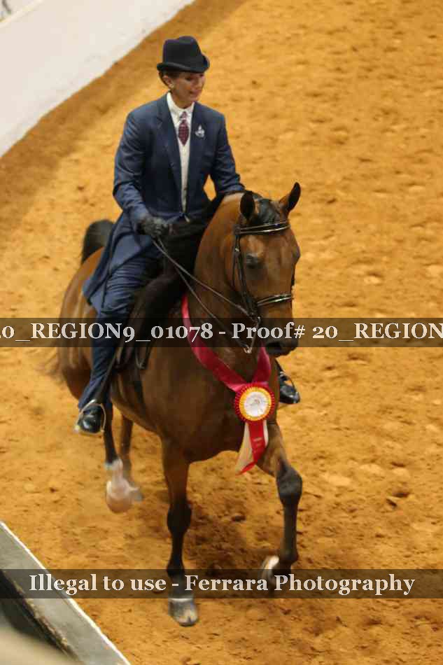 Proof 20_REGION9_01078