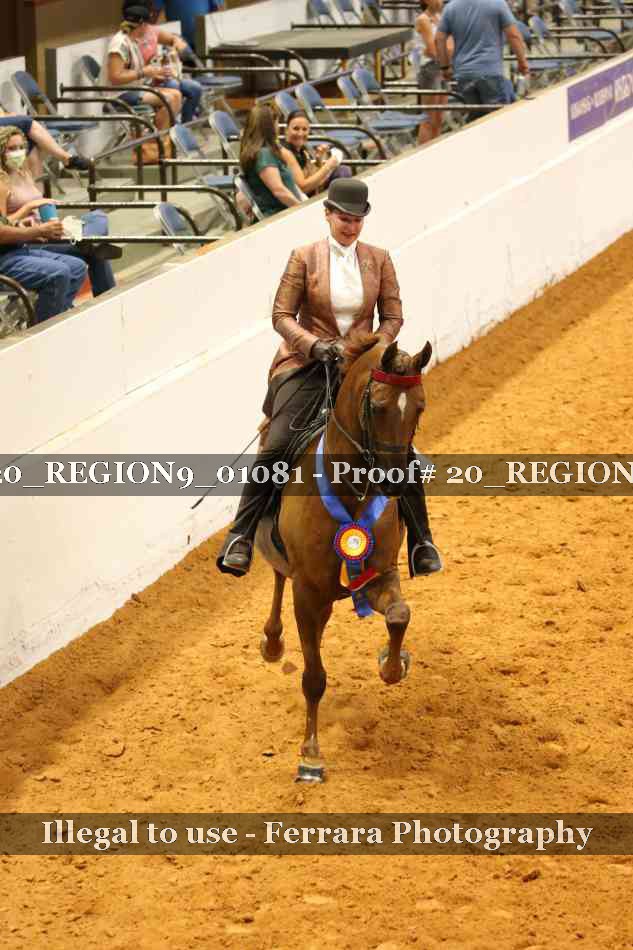 Proof 20_REGION9_01081