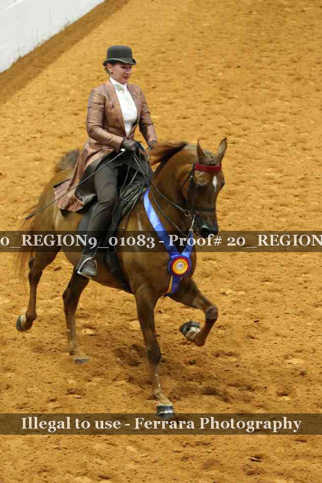 Proof 20_REGION9_01083