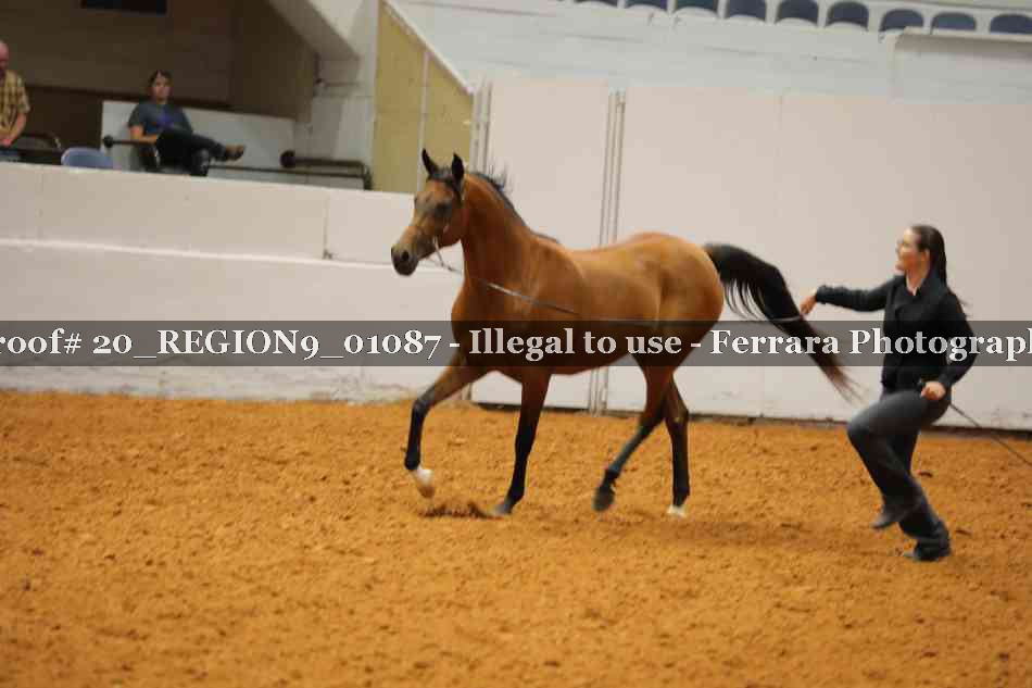 Proof 20_REGION9_01087