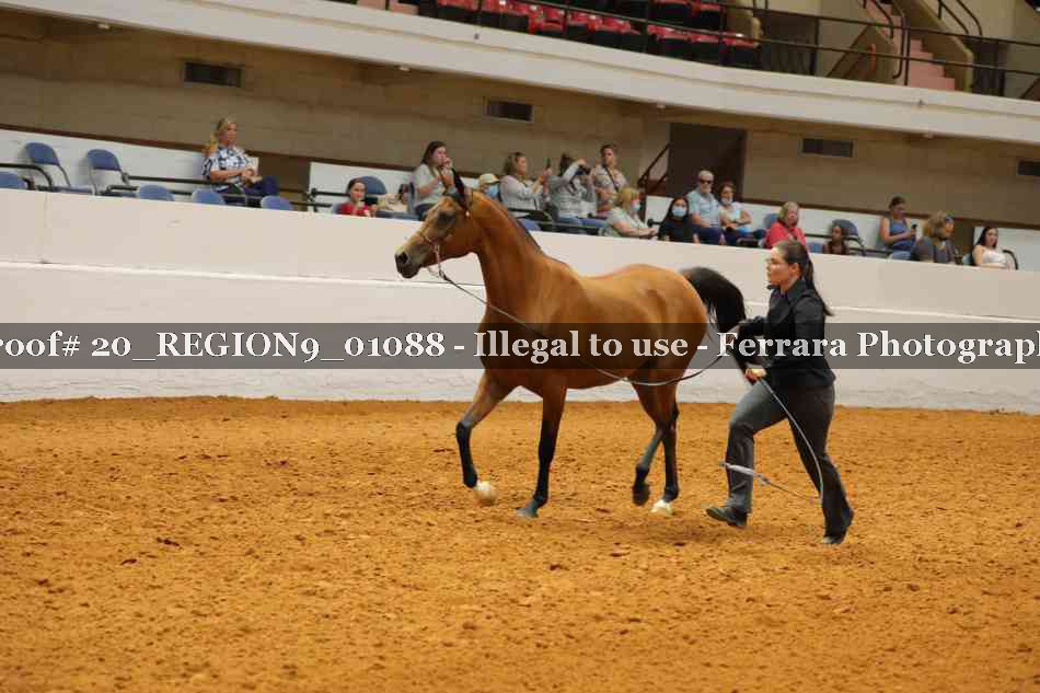 Proof 20_REGION9_01088