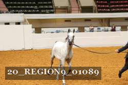 20_REGION9_01089 proof
