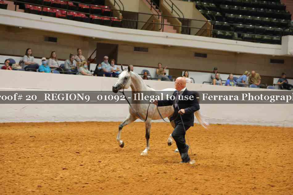 Proof 20_REGION9_01092