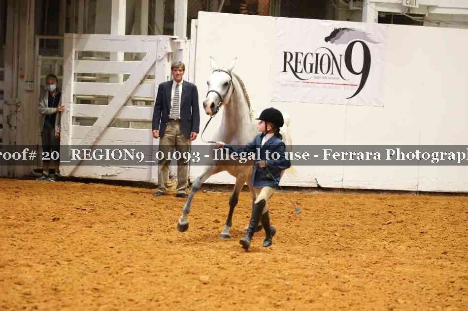 Proof 20_REGION9_01093