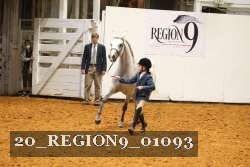 20_REGION9_01093 proof