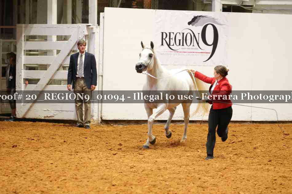 Proof 20_REGION9_01094