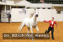 20_REGION9_01095 proof