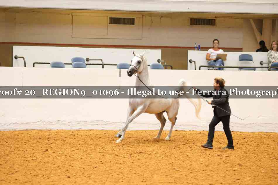 Proof 20_REGION9_01096