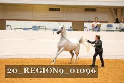 20_REGION9_01096 proof