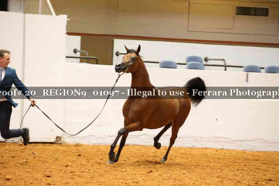 Proof 20_REGION9_01097