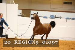 20_REGION9_01097 proof