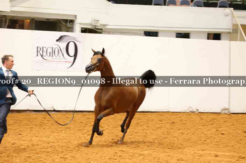 Proof 20_REGION9_01098