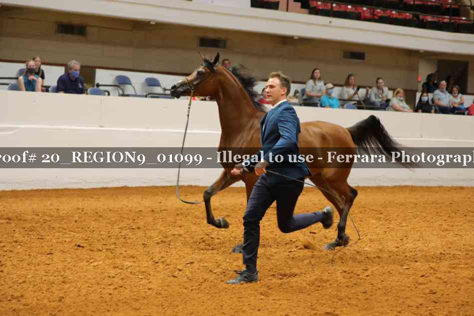 Proof 20_REGION9_01099