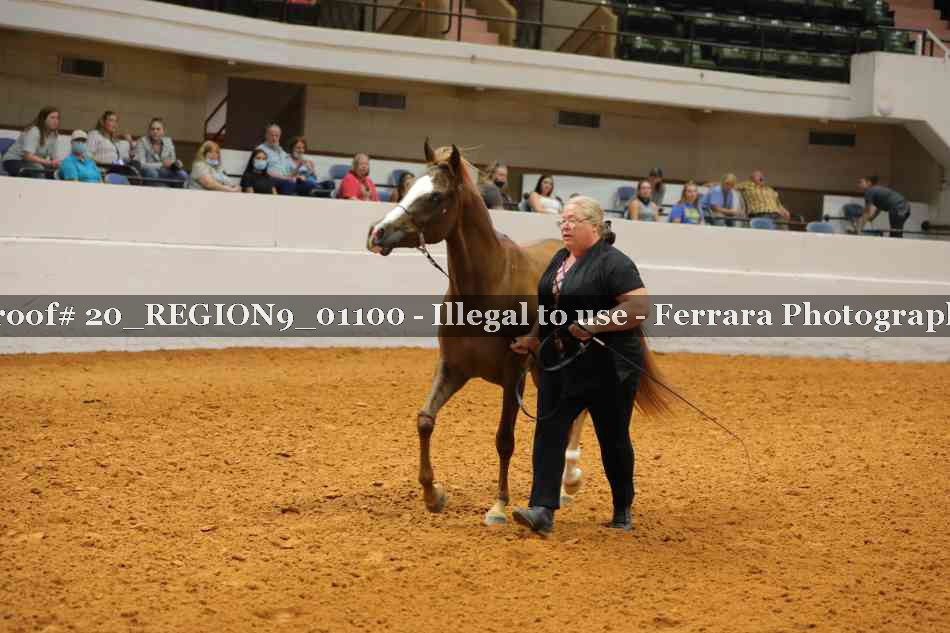 Proof 20_REGION9_01100
