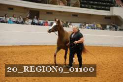 20_REGION9_01100 proof
