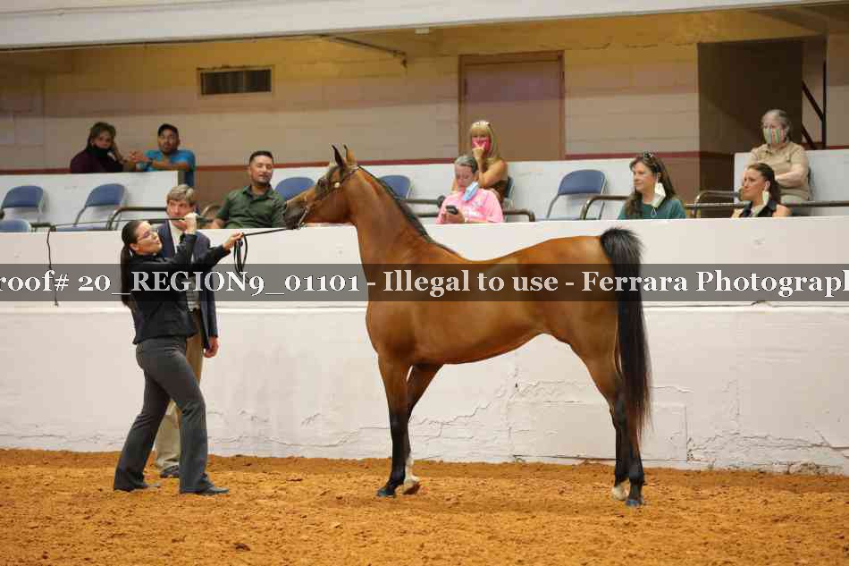 Proof 20_REGION9_01101