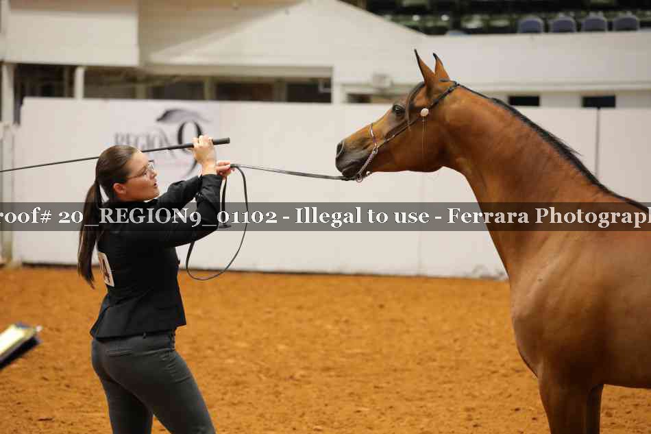 Proof 20_REGION9_01102