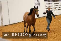 20_REGION9_01103 proof