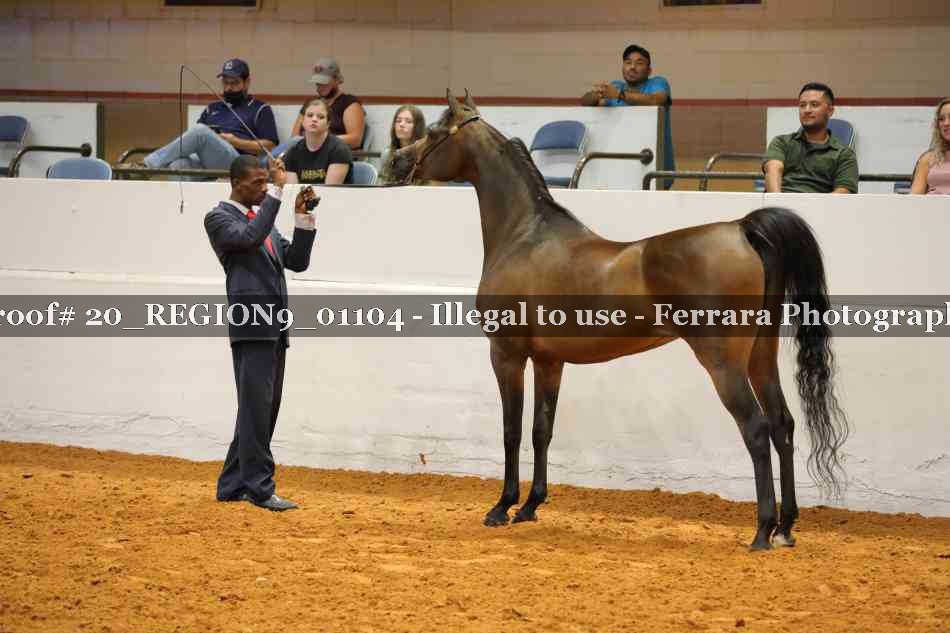 Proof 20_REGION9_01104