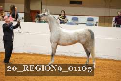 20_REGION9_01105 proof