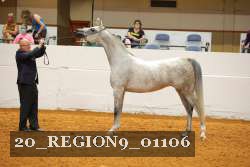 20_REGION9_01106 proof