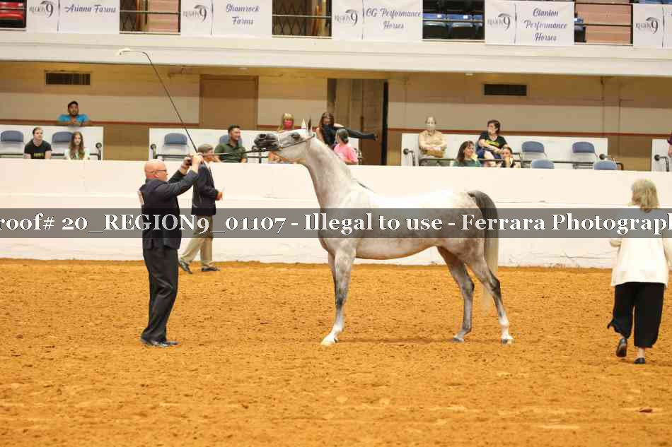 Proof 20_REGION9_01107
