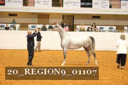 20_REGION9_01107 proof