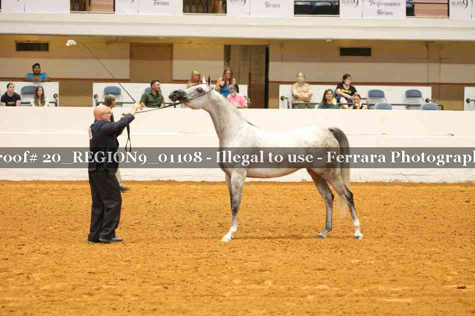 Proof 20_REGION9_01108