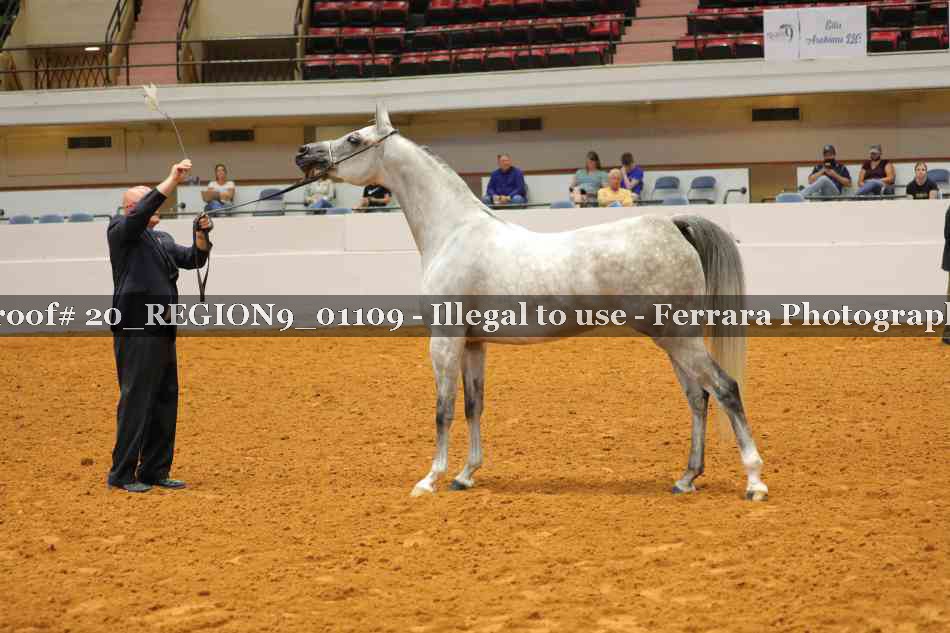 Proof 20_REGION9_01109