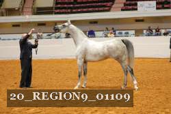 20_REGION9_01109 proof