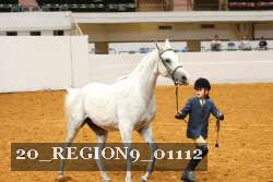 20_REGION9_01112 proof