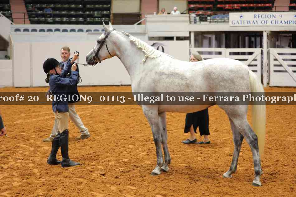 Proof 20_REGION9_01113