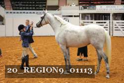 20_REGION9_01113 proof