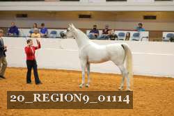 20_REGION9_01114 proof