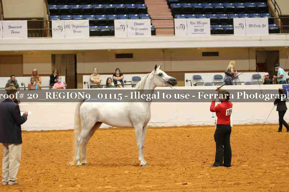 Proof 20_REGION9_01115