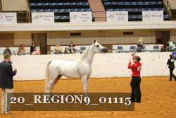 20_REGION9_01115 proof