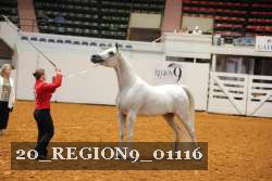 20_REGION9_01116 proof