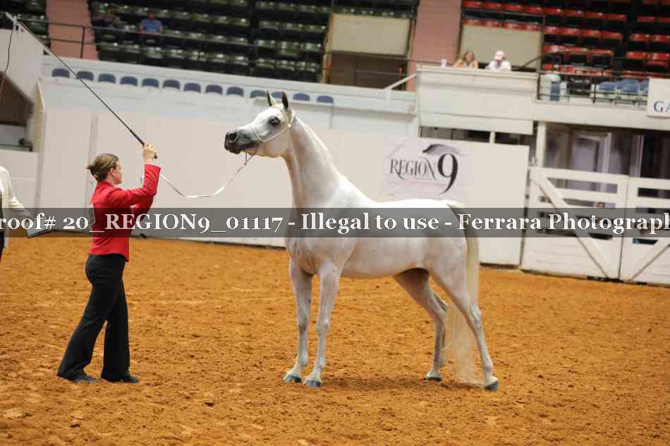 Proof 20_REGION9_01117