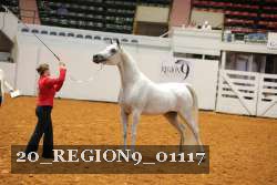 20_REGION9_01117 proof