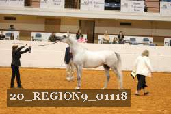 20_REGION9_01118 proof