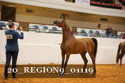 20_REGION9_01119 proof