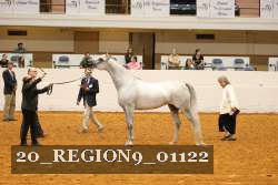 20_REGION9_01122 proof