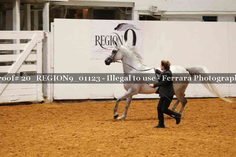 Proof 20_REGION9_01123