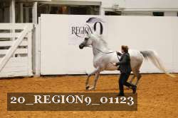 20_REGION9_01123 proof