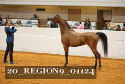 20_REGION9_01124 proof
