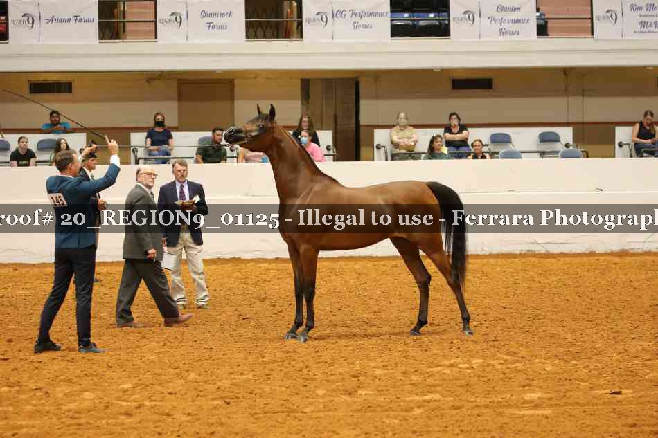 Proof 20_REGION9_01125