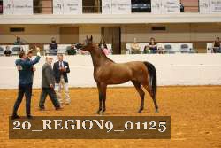 20_REGION9_01125 proof