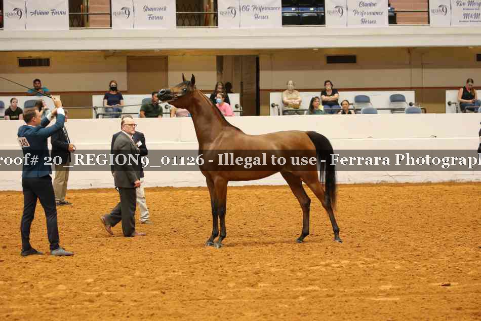 Proof 20_REGION9_01126