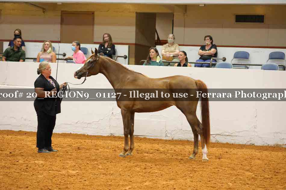 Proof 20_REGION9_01127