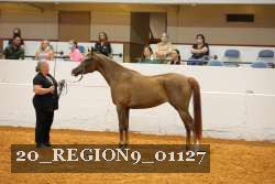 20_REGION9_01127 proof